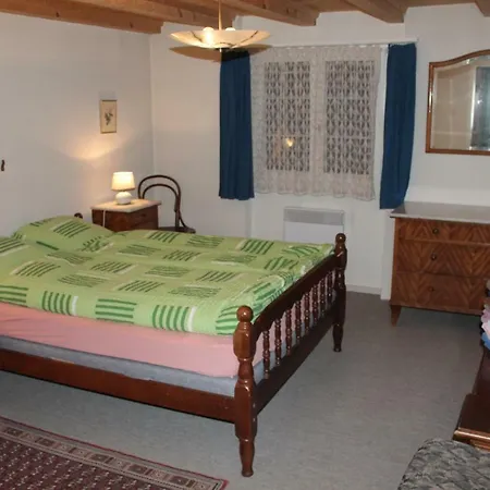 Baechlerhus Apartmán Lenk