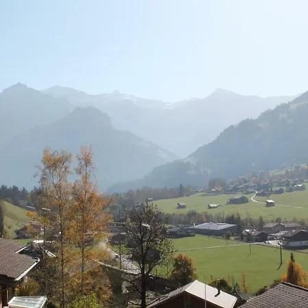 Baechlerhus Lenk
